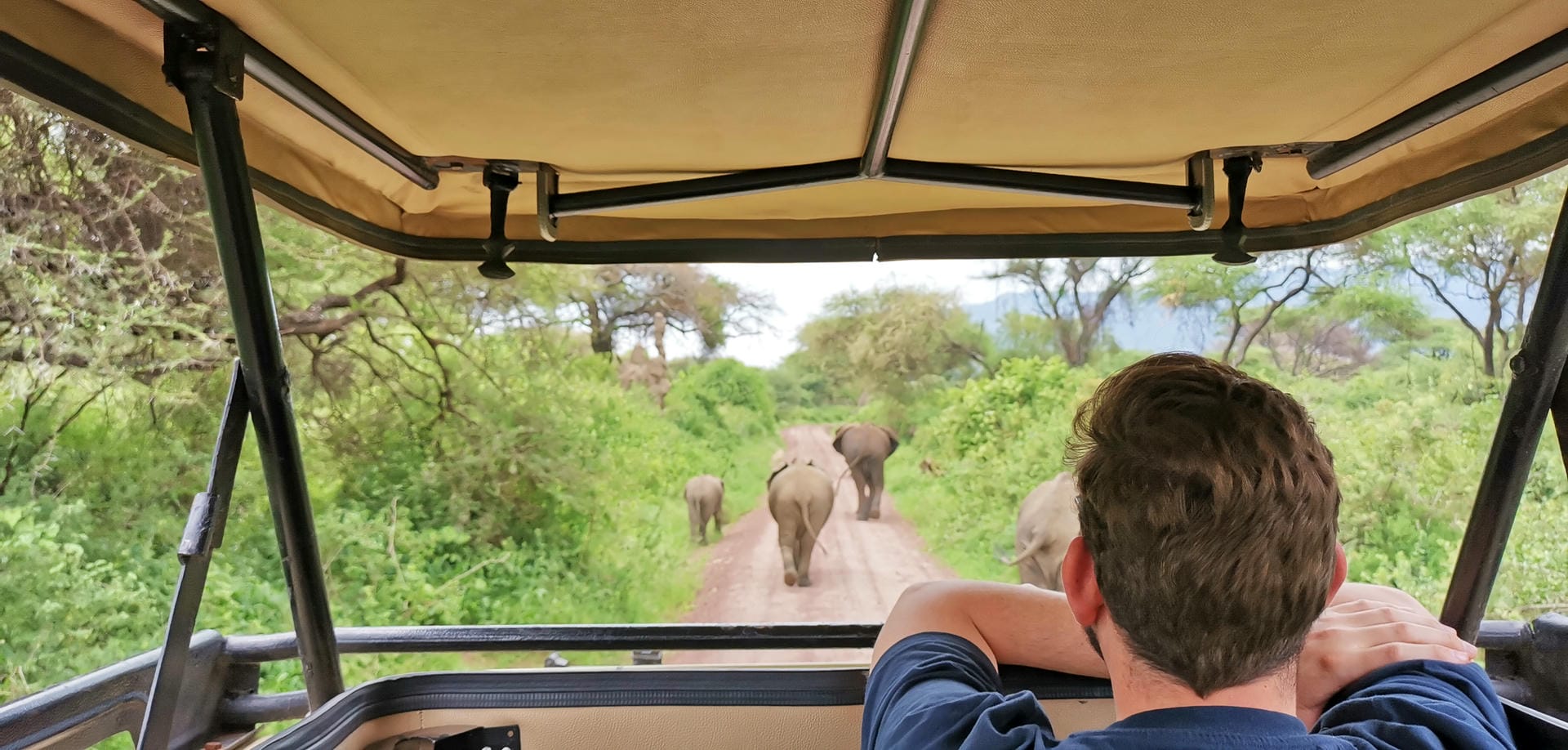Elefanten auf der Strasse im Lake Manyara Nationalpark Elefanten auf der Strasse im Lake Manyara Nationalpark
