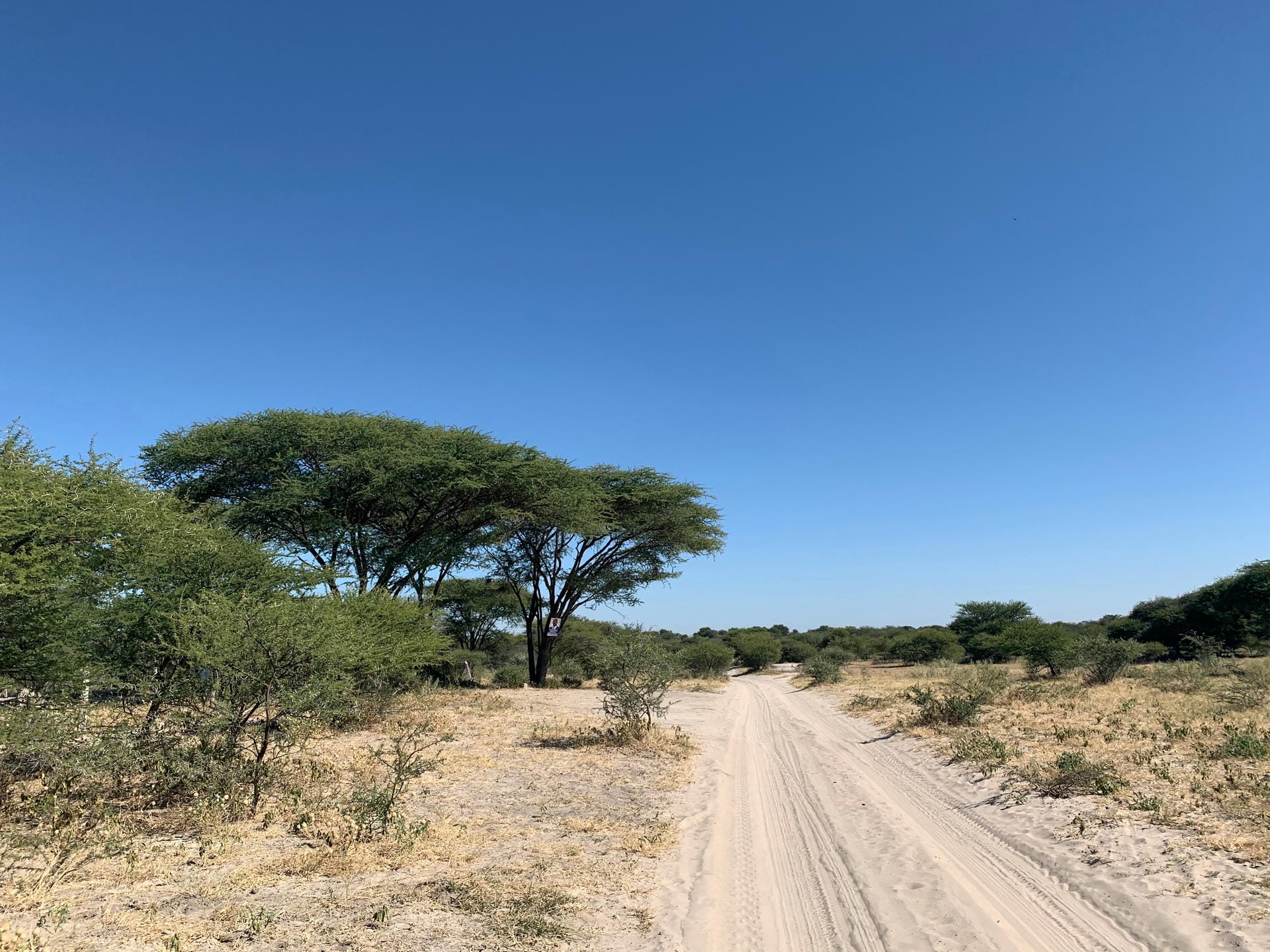 Chobe Nationalpark, Botswana