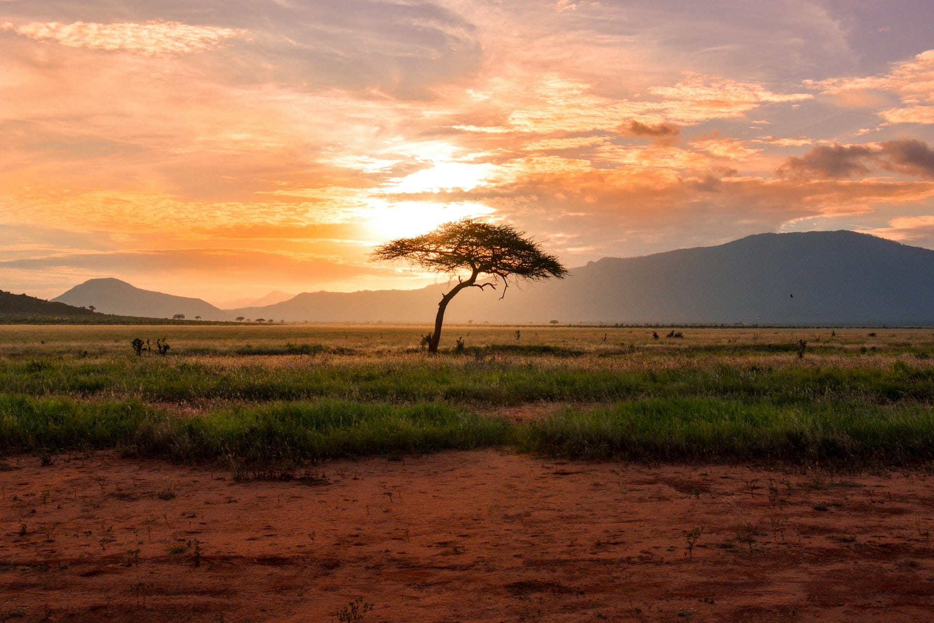 Kenia im Sonnenuntergang