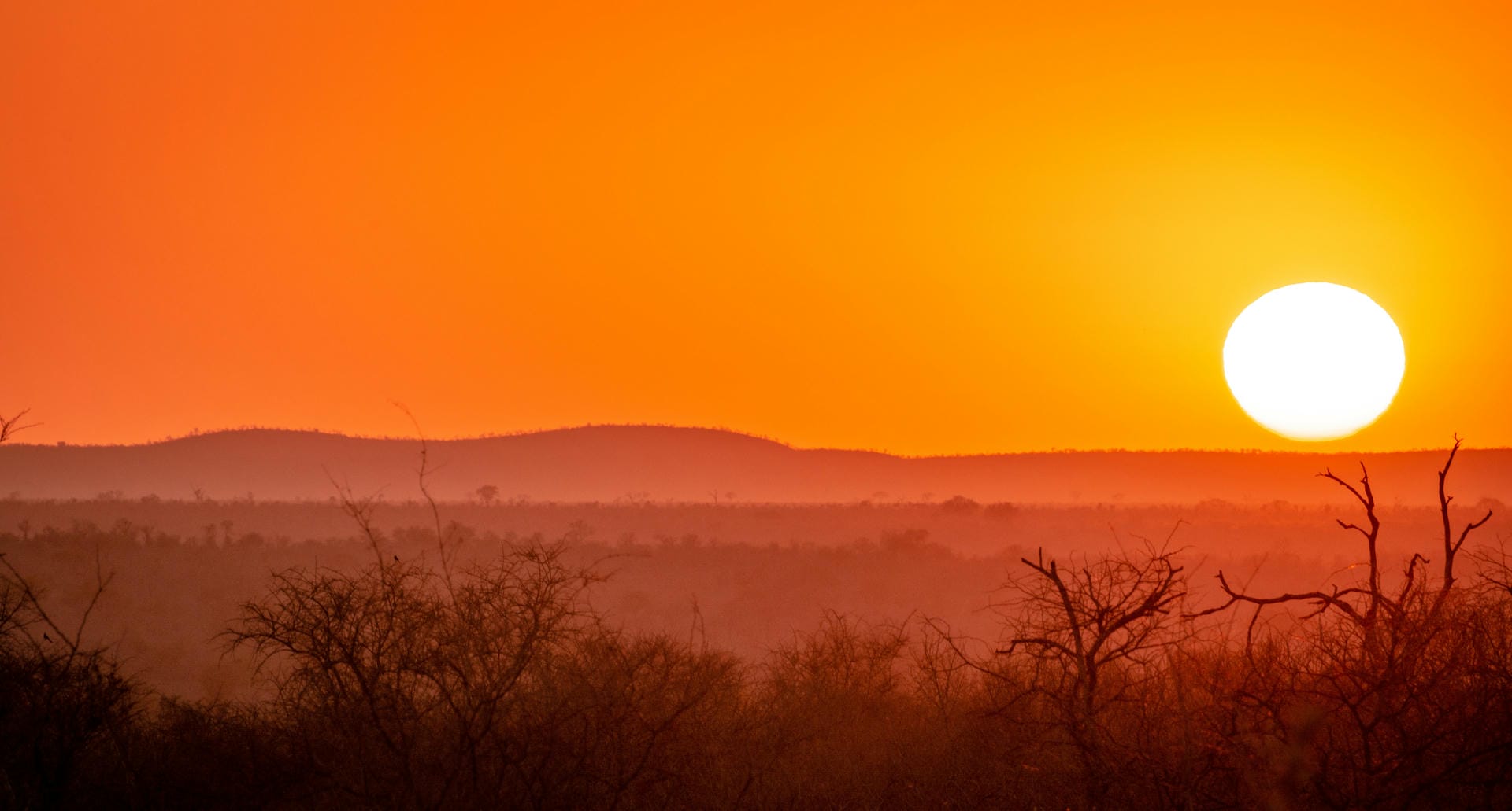 Krüger Nationalpark, Südafrika