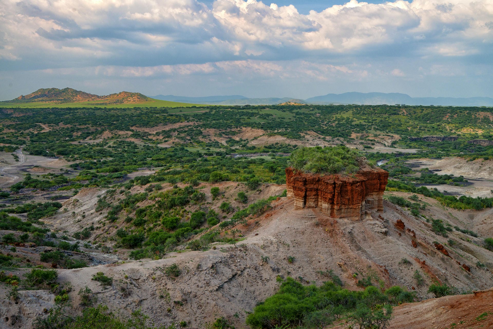 Olduvai Schlucht - Erforschung der menschlichen Evolution
