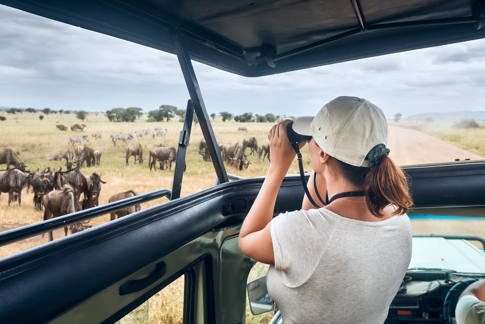 Pirschfahrt durch die Serengeti