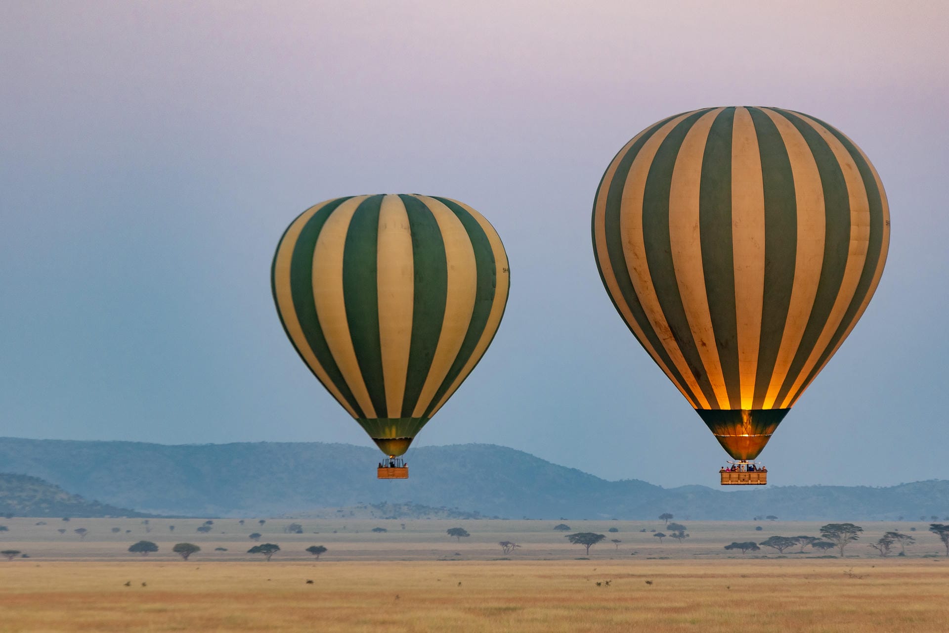 Hoch hinaus mit dem Ballon über der Serengeti