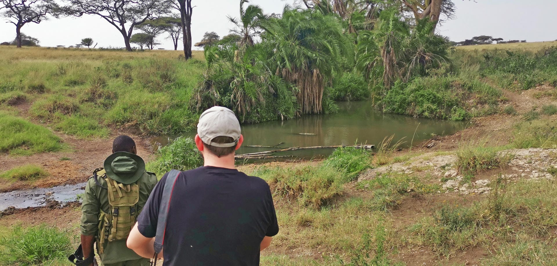Walking Safari