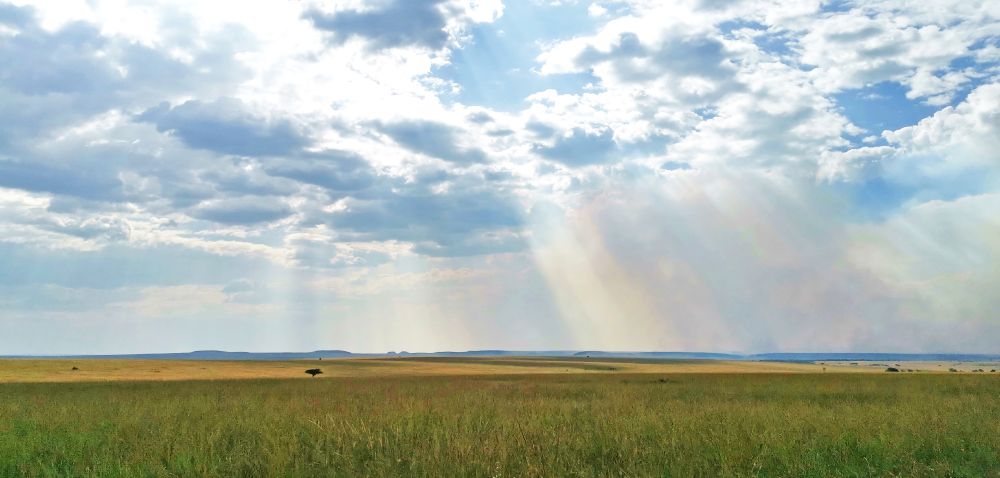 Landscape of the Masai Mara