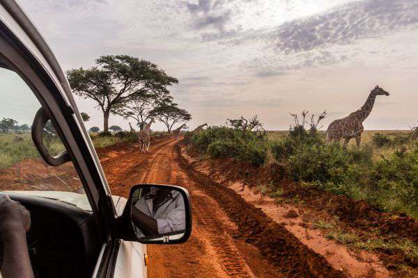 Safari im Murchison Falls Nationalpark