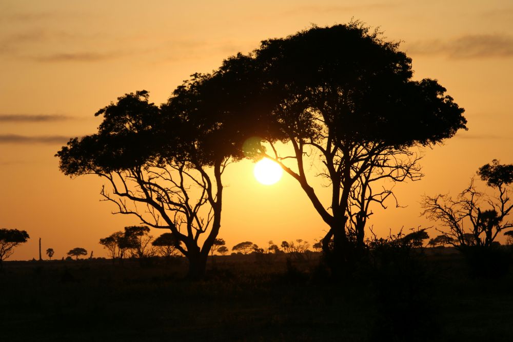 Sonnenuntergang im Park