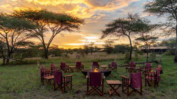 Sundowner im Busch