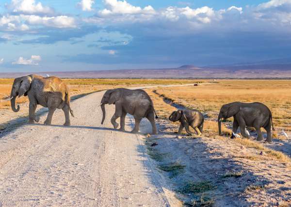 Natur & Tierwelt